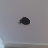 Reformar habitación, pared de pladur