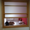 Ventana o cristal tipo guillotina para barra pasa platos