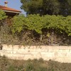 Restauración valla perimetral casa campo