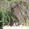 Construir muro de 7 m por 2,2 m