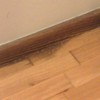 Pulir y embellecimiento (barnizado) de parquet flotante del recibidor