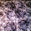 Suministrar parquet y rodapie