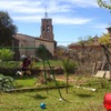 Desbrozar Jardín
