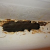 Cambiar bañera por plato de