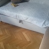 Sofa rajado