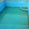 Impermeabilizar Piscina