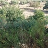 Construir Muro Bloque