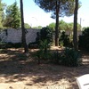 Talar 6 pinos