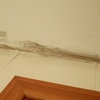 Tratamiento hongos condensación y pintura baño