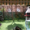 Reforma en jardin