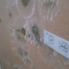 Poner extractor y aislar pared exterior