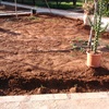 Instalar Placas Solares