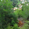 Desbrozar jardín