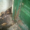 Arreglo de bisagras nuevas,ajuste puerta hierro