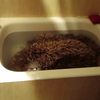 Cambiar Bañera por Ducha