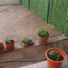 Hormigon impreso