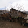 Reforma Vivienda