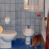 Reformar Baño y Retirar Escombros