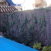 Mantenimiento de Jardin