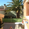 Cortar una palmera