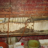 Ignifugar Estructura