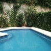 Alicatar Piscina