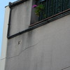 Reparar Grietas Fachada