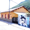 Pequeña Reforma Tejado Casa (Unifamiliar)