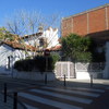 Poda ábol y yuka