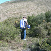 Limpiar de setos y maleza un terreno de 800m