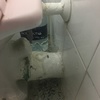 Cambio de inodoro