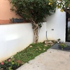 Muro para jardín