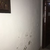 Instalación friso pvc en pared de pasillo