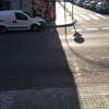 Poner Tarima Exterior