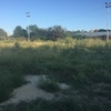 Desbrozar Jardín