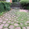 Hacer puesta a punto de jardín