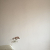 Reforma Vivienda