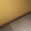 Tratar carcoma y/o termitas
