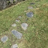 Plantar Cesped