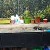 Suministrar Piezas Mármol o Granito