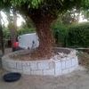 Jardinero para talar