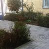 Desbrozar Jardín