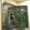 Pintar Interior Edificio