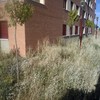 Elaborar Jardin 1000 M2 Completo