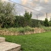 Desbrozar Jardín