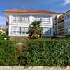 Cortar tronco palmera