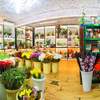Decorar Local Comercial