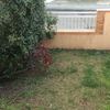 Puesta apunto jardin