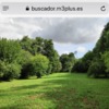 Desbrozar Jardín