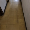 Pulir Suelo Vivienda (Parcial)